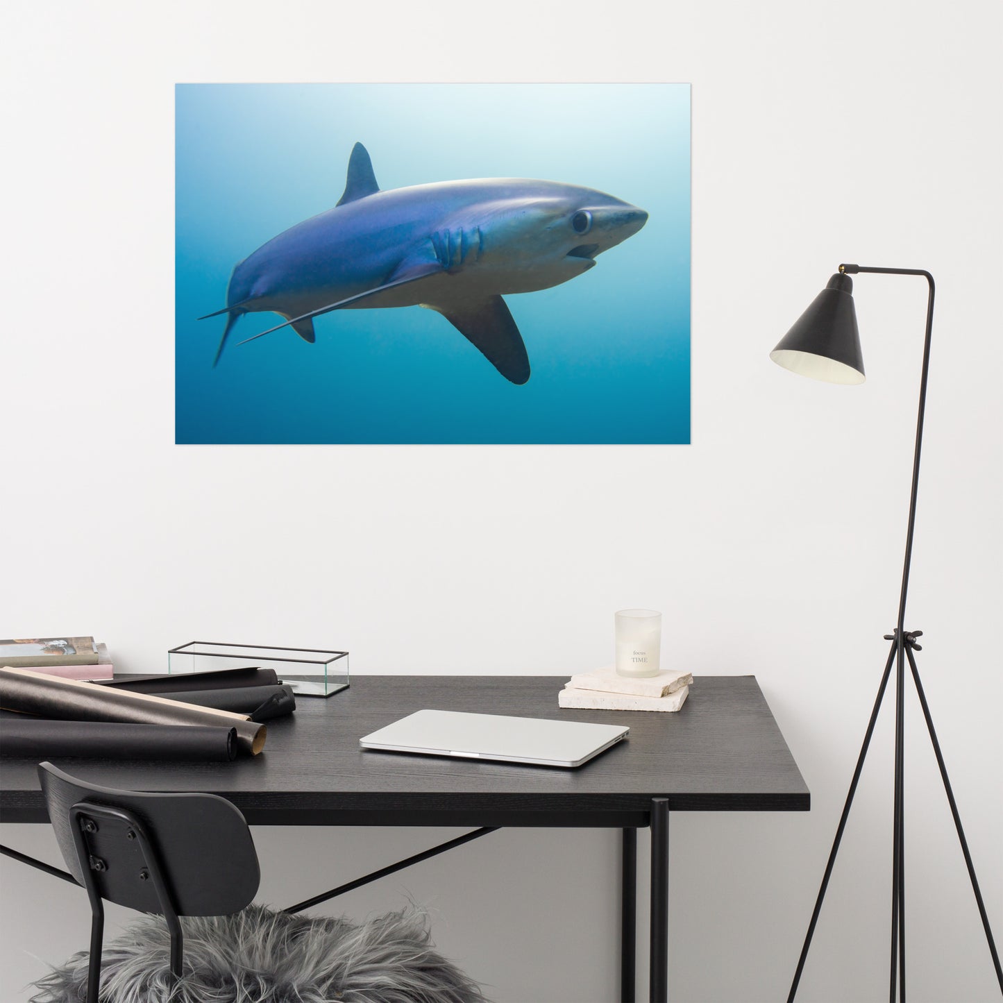 Thresher Shark Print