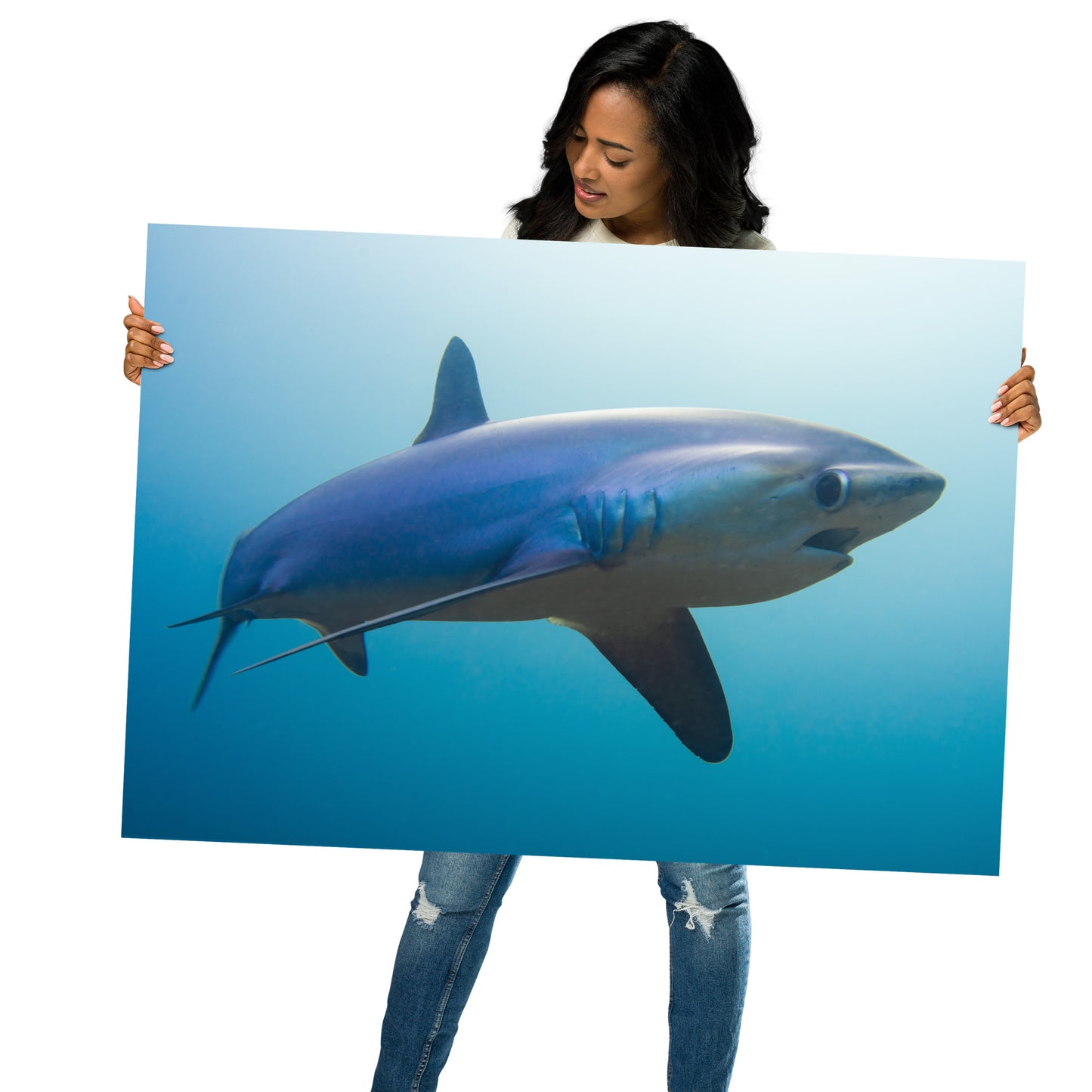 Thresher Shark Print