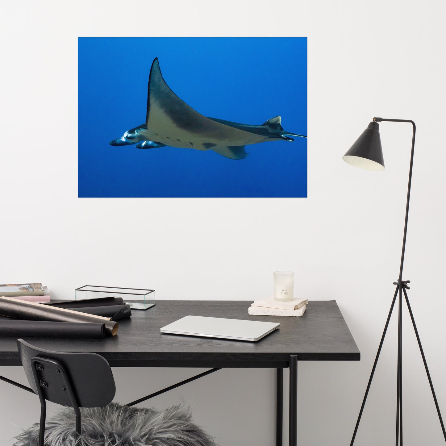 Manta Ray Print