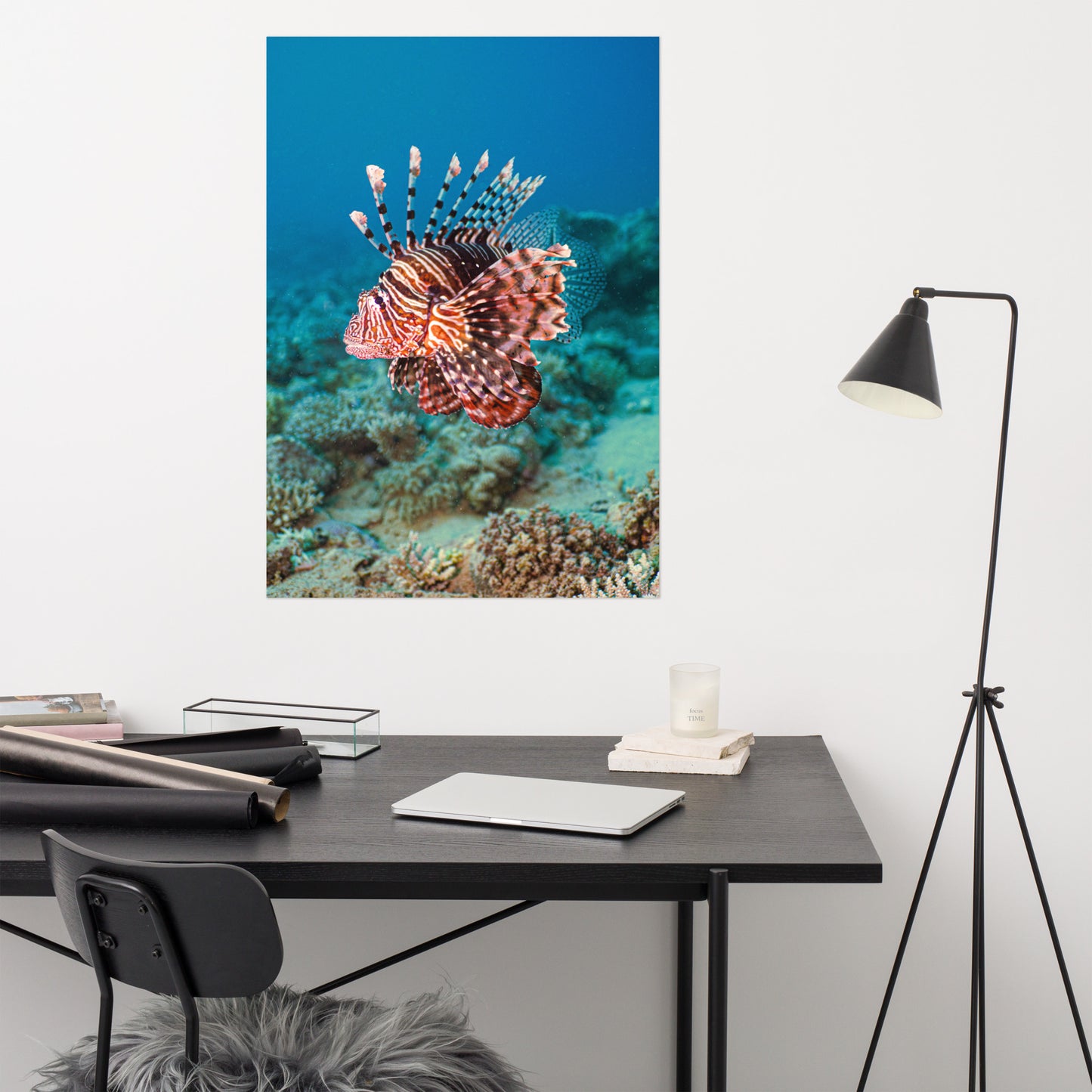 Lionfish Print