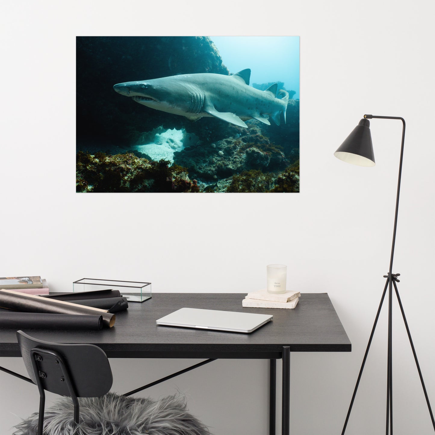 Sand Tiger Shark Print