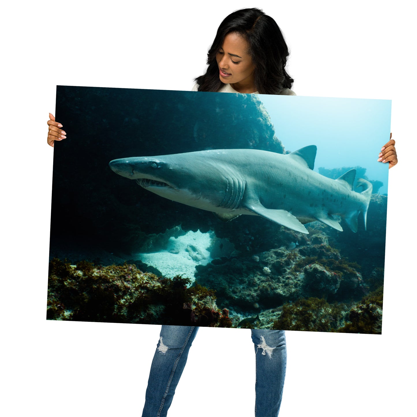 Sand Tiger Shark Print