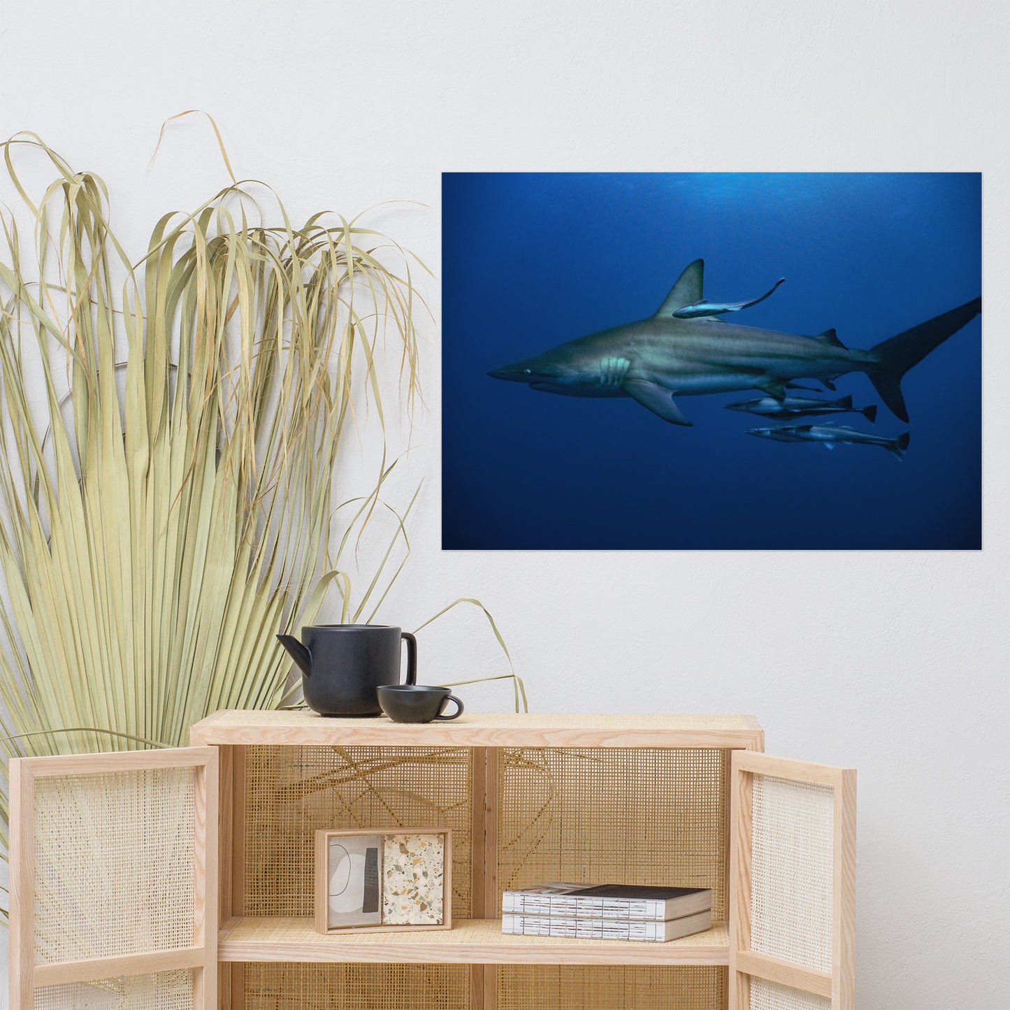 Oceanic Blacktip Shark Print