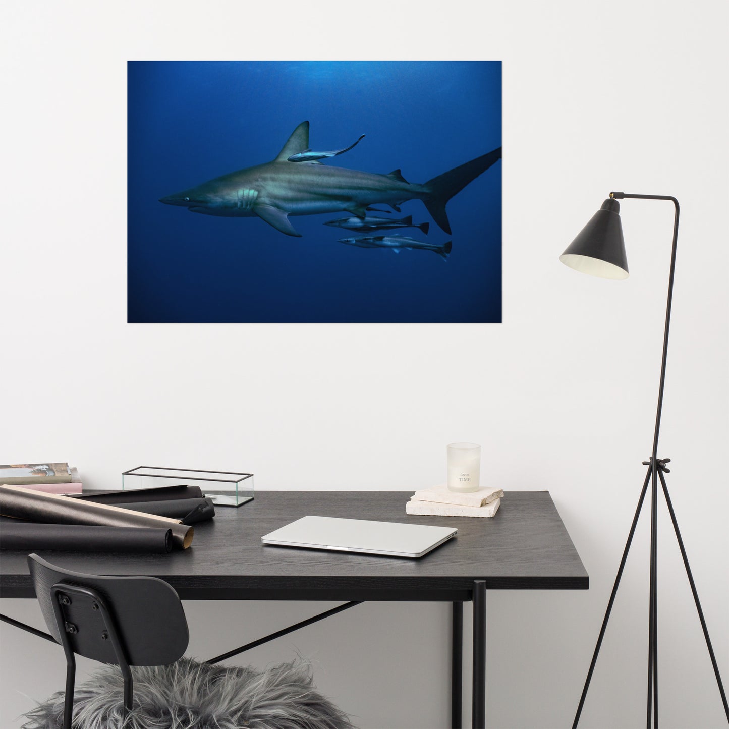 Oceanic Blacktip Shark Print