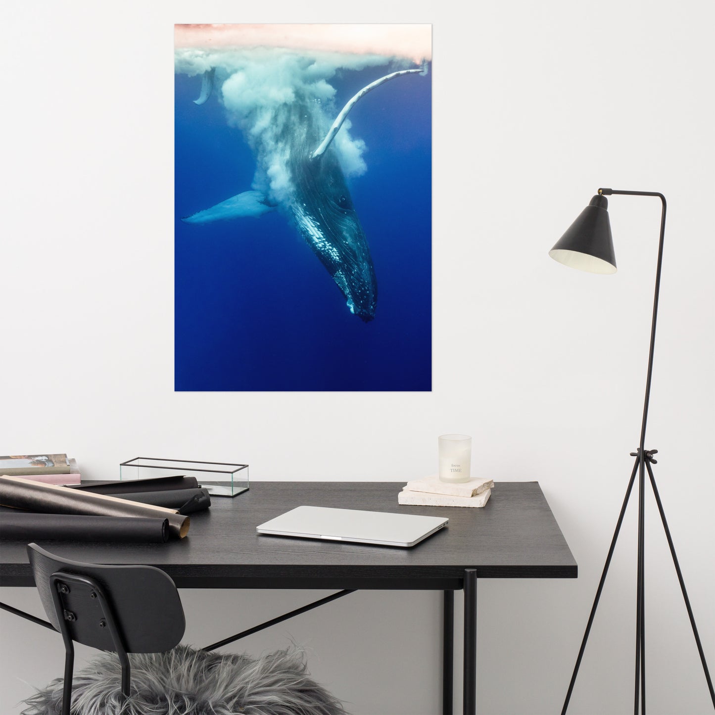 Humpback Whale Print