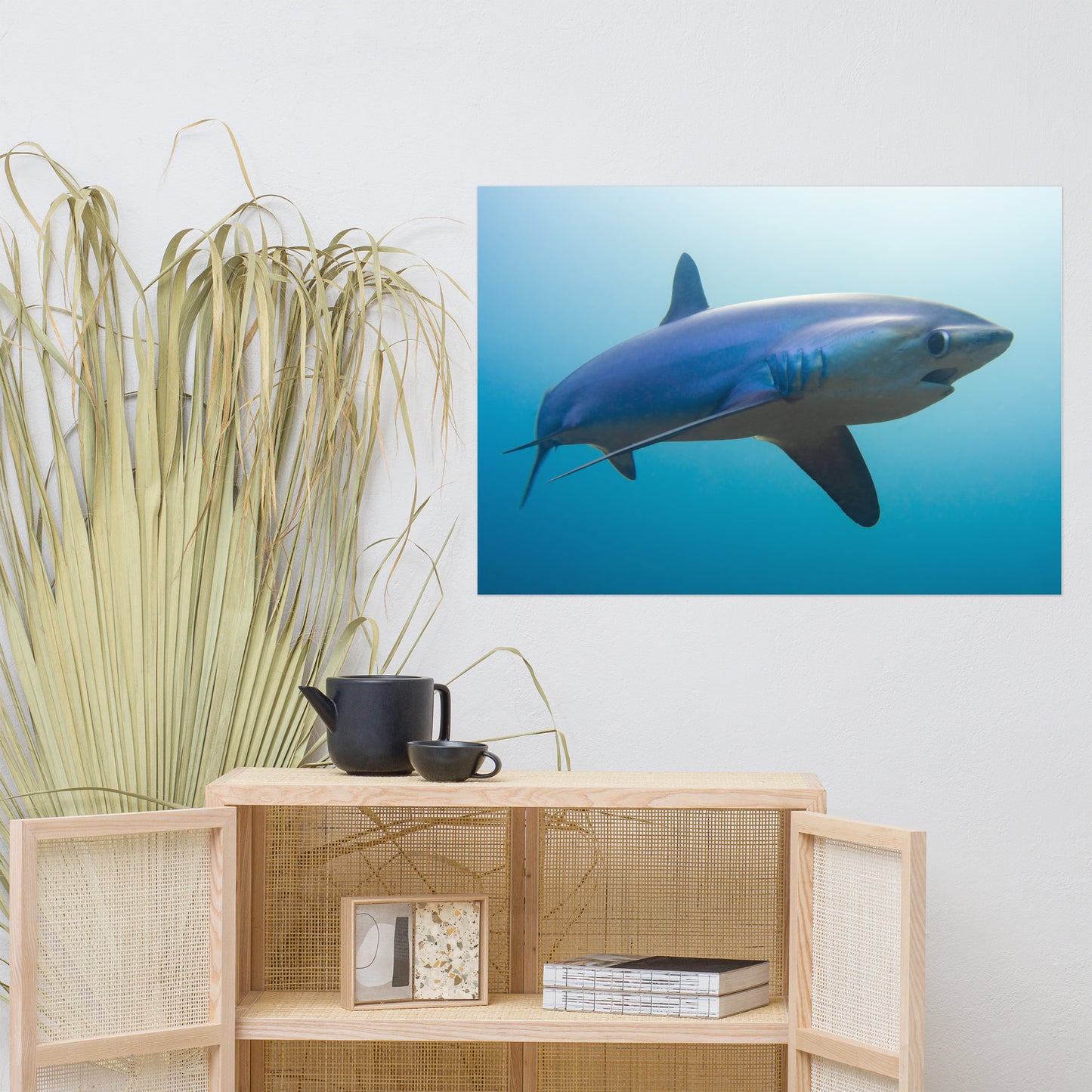 Thresher Shark Print